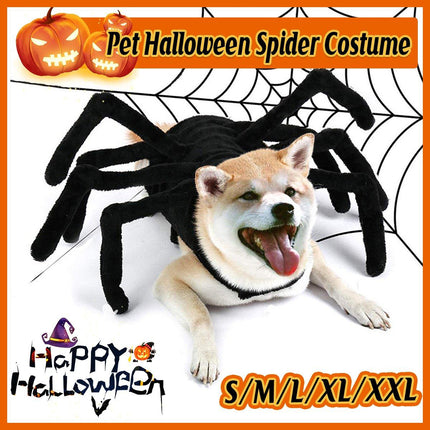 Pet Spooky Big Spider Halloween Costume Dress Up for Dogs Cats and Small Pets