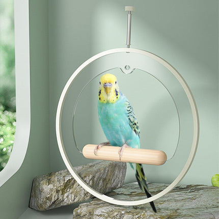 Durable Acrylic Parrot Stand Perch Stick Pole for Bird Cage Play Gym Training