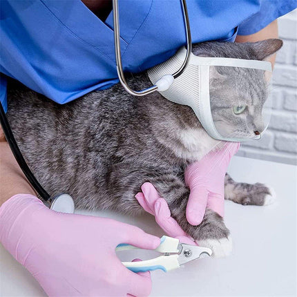 Breathable Kitten Headgear Clear Pet Mask Dog Anti Bite Scratch Protective Gear