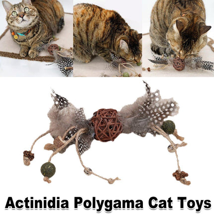 Cat Toys Teaser Stick Chewing Teeth Cleaning Grinding Pet Play Stick for Cats