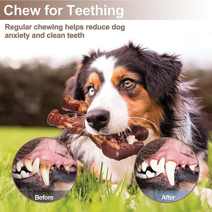 Durable Dog Chew Toy for Teething Nylon Bone Relieves Anxiety Teeth Cleaning Aid