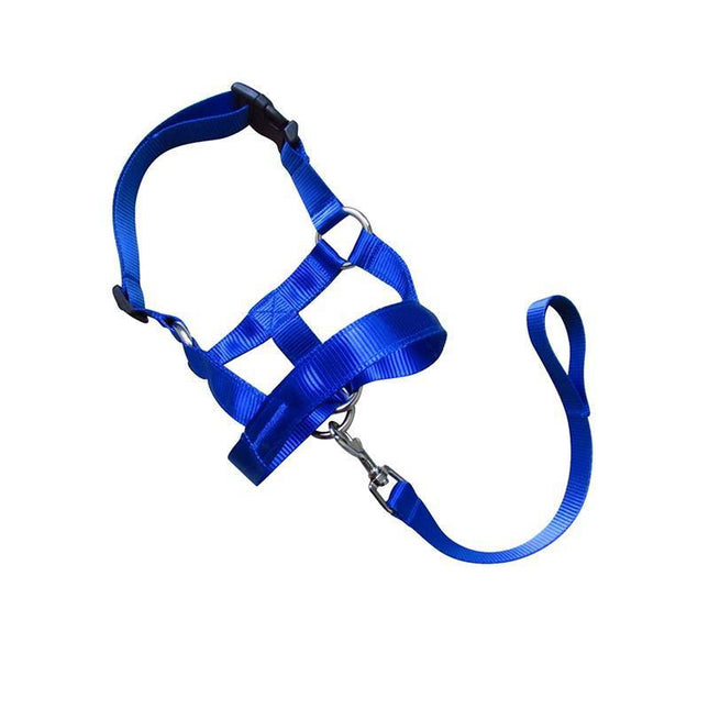 Blue Dog Training Head Collar Halter Stop Pulling Training Tool Harness Strap Leader - Aimall