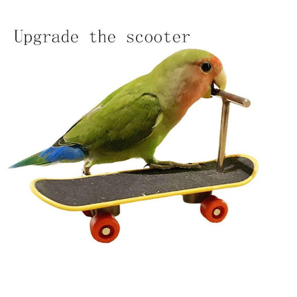 2pcs Parrot Finger Scooters Toys Interactive Parrot Play Scooter Set for Birds