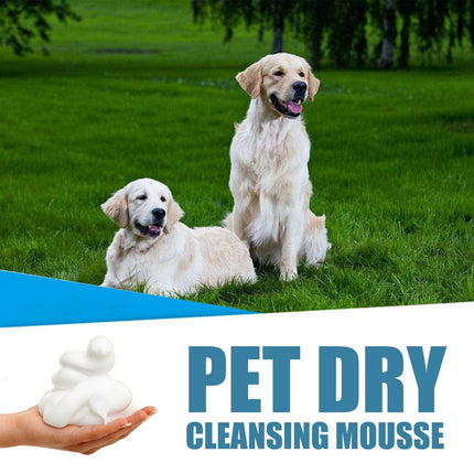 Pet Dry Cleaning Foam No Water Needed Deodorant Shampoo for Dogs and Cats