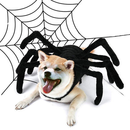 Pet Spooky Big Spider Halloween Costume Dress Up for Dogs Cats and Small Pets