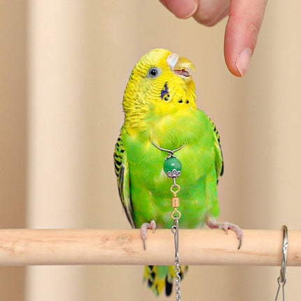Parrot Neck Collar Stainless Steel Bird Chain Training Adjustable Bird Leash