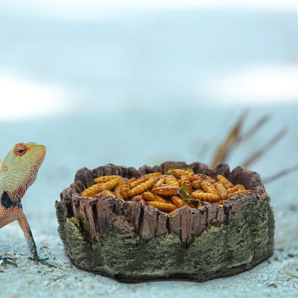 Reptile Drinking Basin Resin Turtle Snake Lizard Feeding Dish Bowl Water Feeder
