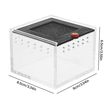  Lizard Reptile Breeding Box
