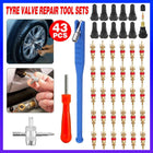 43pcs Car Tyre Valve Stem Puller Set Quick Remover Tire Repair Installation Tool