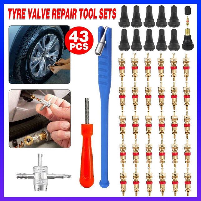 43pcs Car Tyre Valve Stem Puller Set Quick Remover Tire Repair Installation Tool