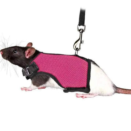 Small Animal Harness Guinea Pig Forret Hamster Rabbit Squirrel Vest Clothes Lead M Size - Aimall