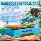 Disposable Instant BBQ Barbecue Charcoal Grill Outdoor Camping Large Cooking - Aimall