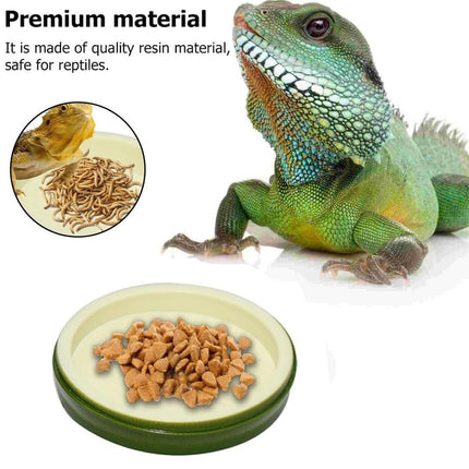 Leaf Shape Reptile Feeding Dish - Natural Food and Water Bowl