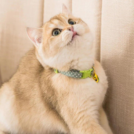Adjustable Pet Collar with Buckle and Bell for Kitten and Dog Wearable Accessory