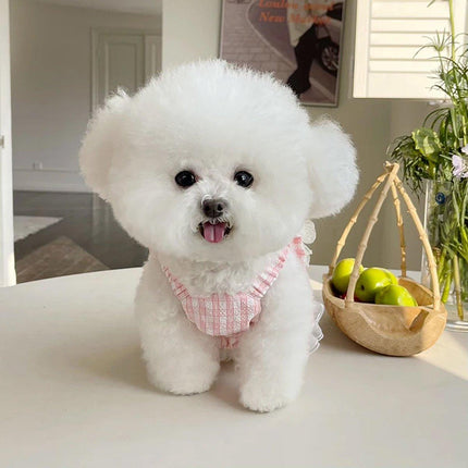 Plaid Pet Dress with Traction Buckle Slip Outing Clothes for Small Medium Pet