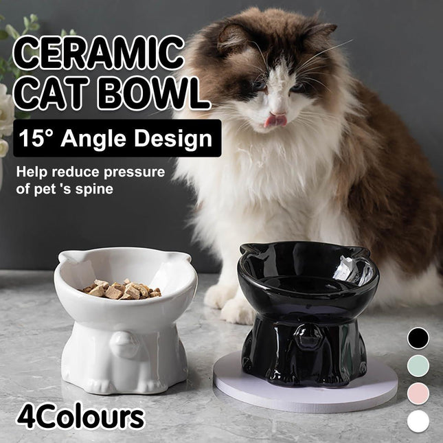 Ceramic Cat Bowl Cute Tall Raised Cat Food Bowl for Pets Eating Comfortably