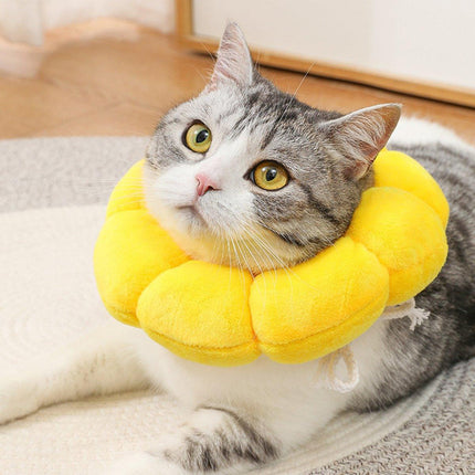Sunflower Elizabeth Collar for Cats and Dogs Anti Licking Sterilization Headgear