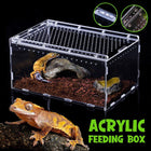 Clear Pet Box Slide Lid Reptile Breeding Habitat Panoramic View Terrarium