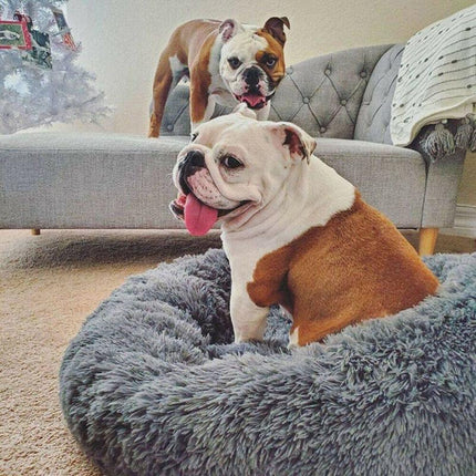Coffee Cat Bed Pet Bed Dog Donut Nest Calming Deep Sleeping Soft Plush Kennel Washable - Aimall