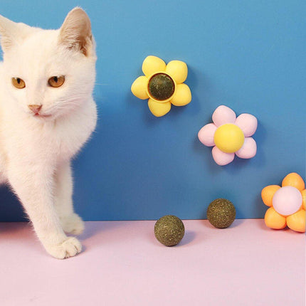 2PCS Cat Toy Catnip Ball Flower Tooth Cleaning Grinding Chew Kitten