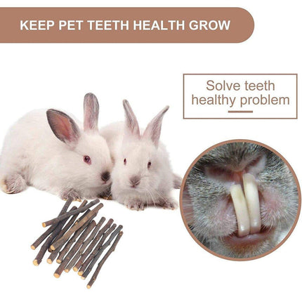 Natural Rabbit Molar Snacks Hamster Branches Sweet Bamboo Grinding Teeth Wood