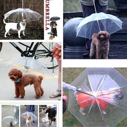 Pet Dog Transparent Umbrella 30 inch Diameter With Dog Leash For Rain Walking Outdoor
