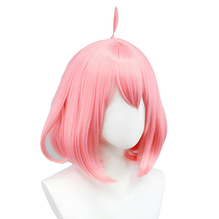 Spy House Ania Wig AU