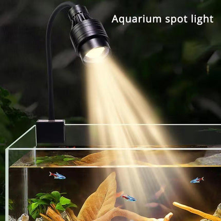 Fish Tank Clamp Light Special Focus Aquarium Lamp for Viewing Landscape Lighting