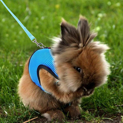 Rabbit Vest Harness Leash Lead Small Animal Pet Mesh Hamster Bunny Traction Rope L - Aimall