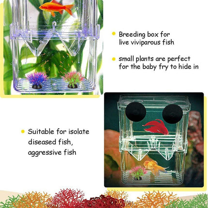 Guppy Breeding Aquarium Fish Tank Hatchery Isolation Breeder Rearing Box - Aimall