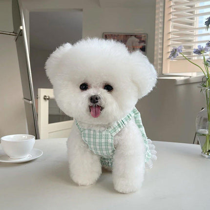 Plaid Pet Dress with Traction Buckle Slip Outing Clothes for Small Medium Pet
