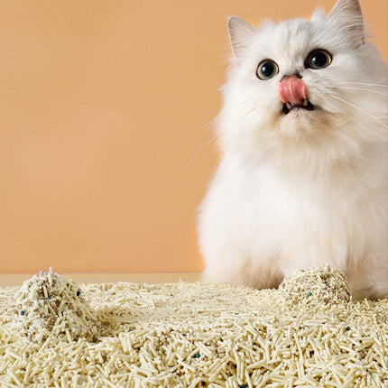 Pet Kitty Tofu Cat Litter Fine Mixed 10kg Bentonite Deodorant Dust-free 2.5kg - Aimall