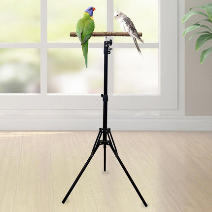 Parrot Activity Stand Pet Bird Stand with Stick Perch for Birds Play and Rest