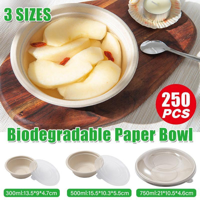 250PCS Food Preparation Burger Storages Cake Packaging Box Lunch Boxes Primary - Aimall