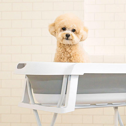 Pet Bath Tub Elevated Stand for Cats and Puppies Portable Bathing Tub for Pets