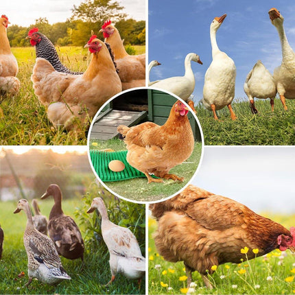 6PCS Egg Laying Box Mat Plastic Chicken Nest Grass Pad Imitation Grass Gasket