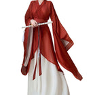 Womens Hanfu Wei Jin Style Big Sleeve Dress Northern Southern Dynasty