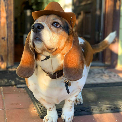 Adjustable Dog Hat Pet Puppy Cowboy Sun Cap Cosplay Party Show Hat Dog and Cat