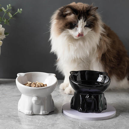 Ceramic Cat Bowl Cute Tall Raised Cat Food Bowl for Pets Eating Comfortably