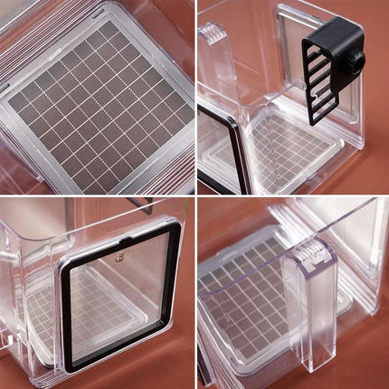 Acrylic Fish Isolation for Aquarium Guppy Fry Tropical Fish Breeding Growth Box