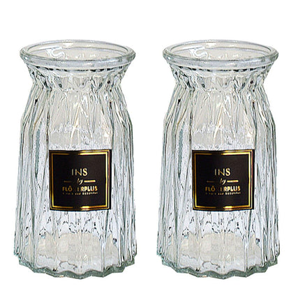 2 Pcs Glass Vase Hydroponic Flower Arrangement Vase for Living Room Decoration