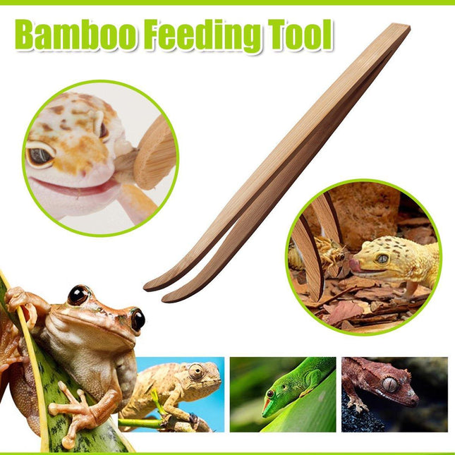 Bamboo Feeding Tools for Pets Crawler Accessory Durable