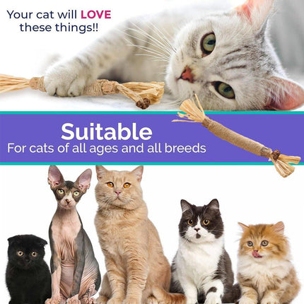 Cat Toys Silvervine Chew Stick Kitten Treat Catnip Toy Grinding Tooth Cleaning - Aimall
