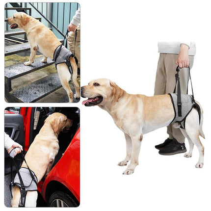 Decompression Back Leg Strap for Injured and Older Dogs Support Harness Aid