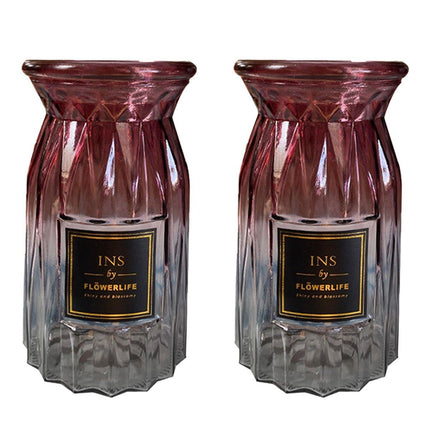 2 Pcs Glass Vase Hydroponic Flower Arrangement Vase for Living Room Decoration