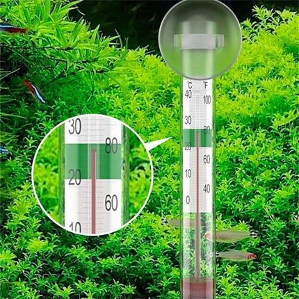High Temperature Resistant Fish Tank Tortoise Tank Thermometer with Suction Cup