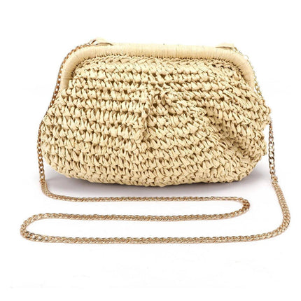 Woven Women Clutch Purse Dumpling Straw Tote Bag Shoulder Straw Crossbody Bag