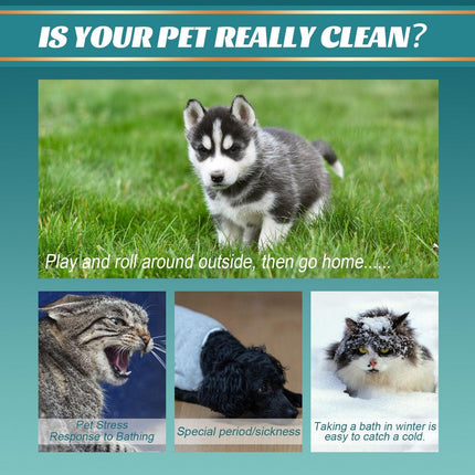 10XPet Cat Dog Dry Washing Gloves Bath Remove Odor Cleaning Decontamination Care - Aimall