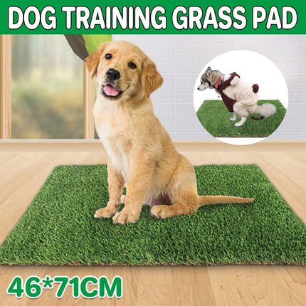 Pet Training Fake Grass Pee Pads Dog Toilet Indoor Lawn Pads for Potty Training