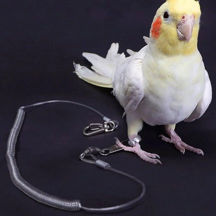 Parrot Leg Ring Anti Slip Bird Anklet Elastic Rope with Alloy Fasteners Supplies